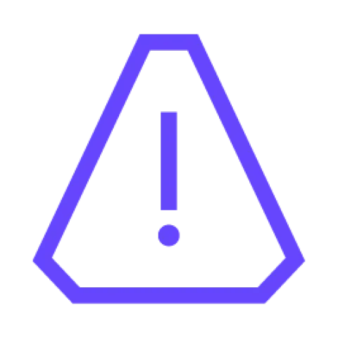 Risk Icon