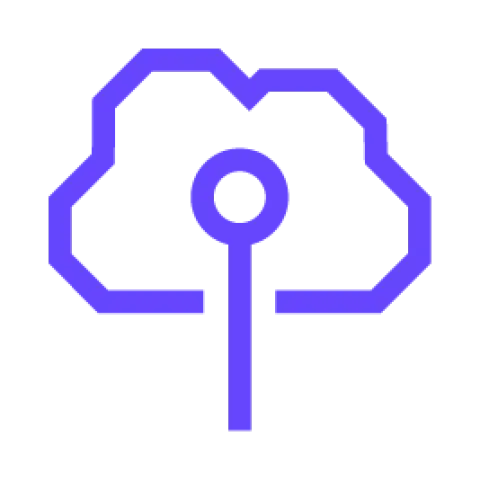 Cloud Access Icon