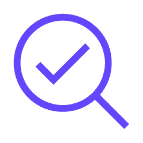 Inspection Icon