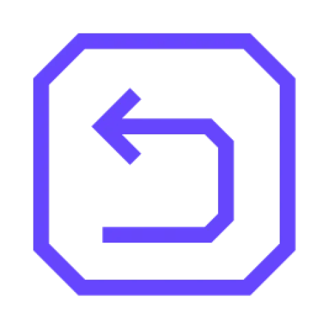 Revisions Icon