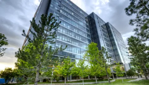 High-rise new build buildings with trees surrounding it